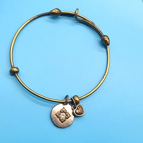 Brighton Art & Soul Collection: "A Journey Begins w A Single Seed" Rustic Bangle - Picture 1 of 9